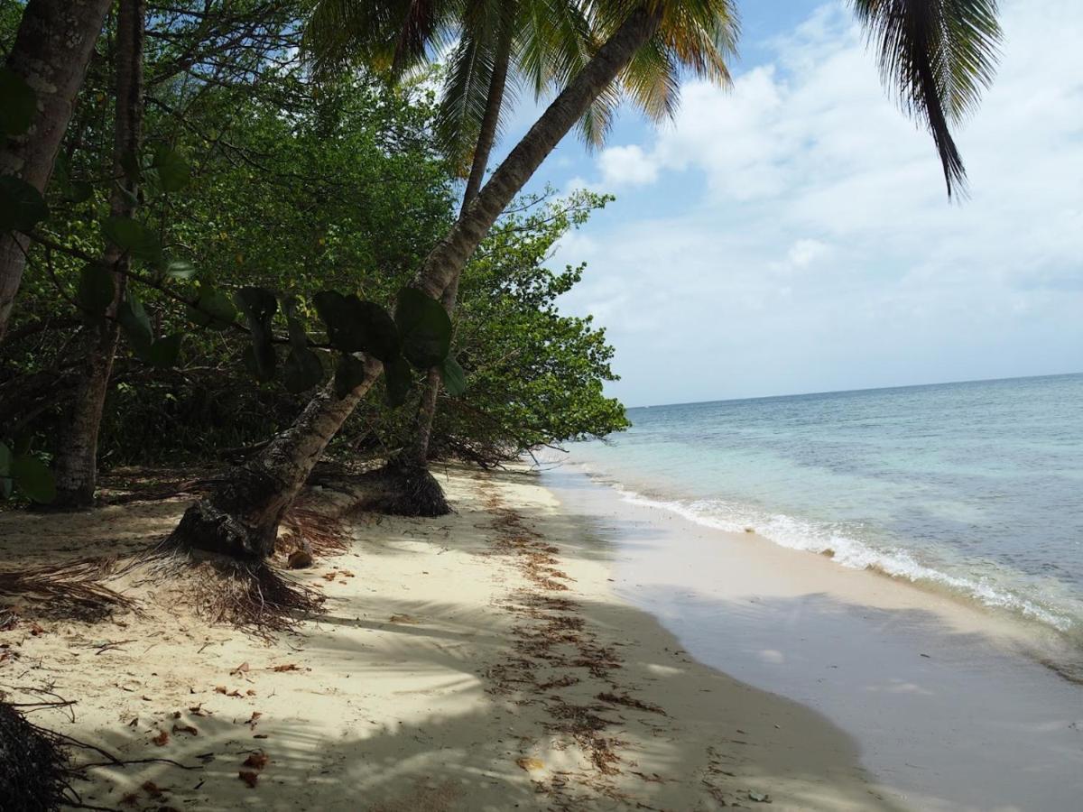 Kaz'Detente, Marie Galante, Plage Kawann Grand-Bourg  Bagian luar foto