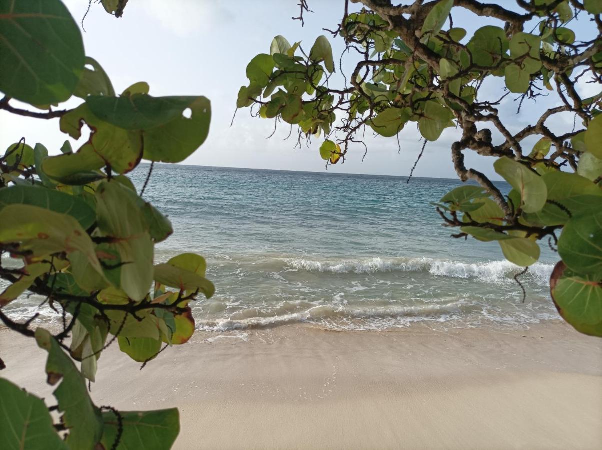 Kaz'Detente, Marie Galante, Plage Kawann Grand-Bourg  Bagian luar foto
